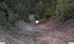 Oakley Sutro Lite Matte Carbon / Prizm Trail Torch / Ref.OO9463-0439 Sunglasses -MAXXIS Sales 15299305f870959052ec5.16843922