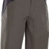 ION Bikeshorts Traze AMP 880 Root Brown