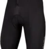 Endura FS260-Pro Thermo II Long Shorts Black
