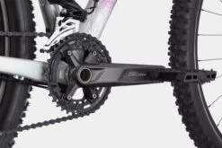 Cannondale Trail Women's SL 4 Women Hardtail MTB Shimano Deore 11S 29'' Purple Grey -MAXXIS Sales 18139395f6228da509346.73980614