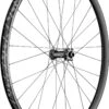 Dt-swiss DT Swiss EX 1700 Spline 29 '' 30mm Front Wheel | Boost 15x110mm | 6 Holes