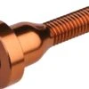 Burgtec Top Cap Bolt Bronze
