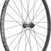 Dt-swiss DT Swiss E1900 Spline 30 29 '' Front Wheel | 15x100mm | Centerlock