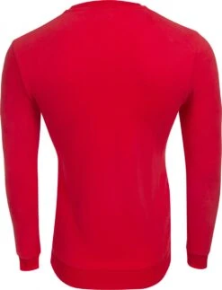 LeBram & Sport Vintage Sweatshirt Le Vieux Gaulois / Hexagon Cherry Tomatoe / Red -MAXXIS Sales 208111060d8cfb90d99e9.44763868