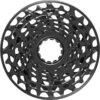 Sram X01 DH XG-795 Cassette 7 Speed Black