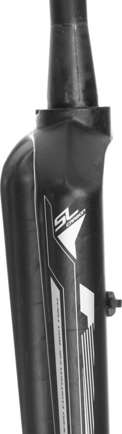 Massi SL Carbon Rigid Fork 29'' / Tapered / 15x100 Mm -MAXXIS Sales 5a9d14624cbb1