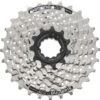 Shimano Acera CS-HG41 Cassette 7S